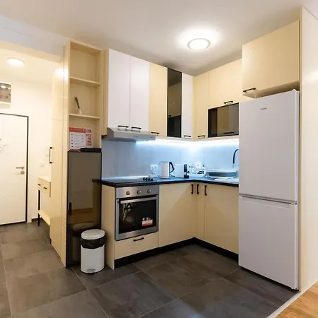 Apartamento President 8 *