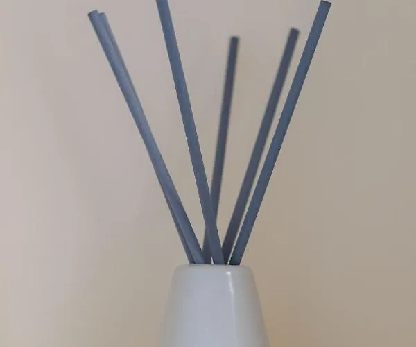 President 8 شقة بلغراد